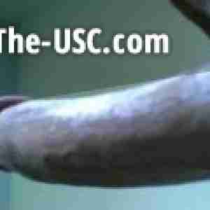 the dick. :P title says it all dick