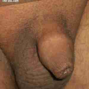 The stages of my cock From retracted to erection cock penis erection alaska
