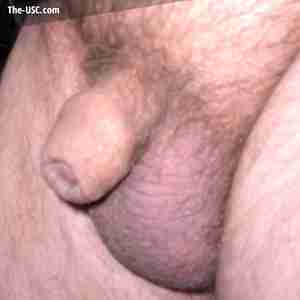 The stages of my cock From retracted to erection cock penis erection alaska