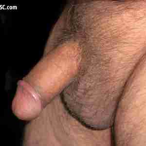 The stages of my cock From retracted to erection cock penis erection alaska
