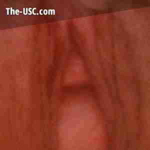 honeysquirt Juicy pussy squirt