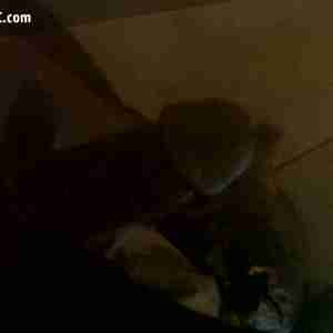 Fatcock Need wet pussy Looking for black pussy