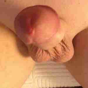 My cock My hard cock Cock Horny