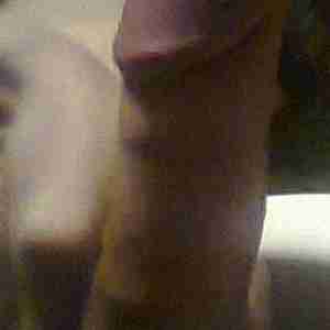 my dick  dick penis cock big tasty