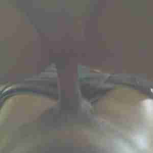my rooster  buldge huge cum cock balls big load cumshot pussy