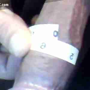 my pictures  big thick dick huge long fat penis hung large cock