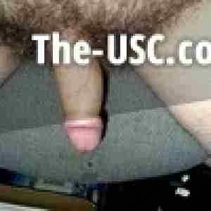 Healthy Cock needing attention....  Help