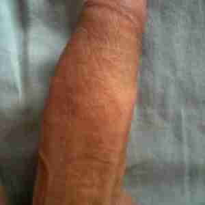 Cock  Big