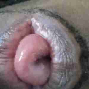 dl and bisexual with a big dick.  bi. pussy orgy dl ass