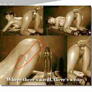 Various Captions #2  Captions Humor