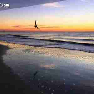 me  my favorite places  me beach boats fishing my house river and work