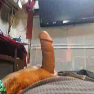 Lows Causal Sex me