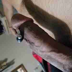 My piercing Thick pierced cock Thick pierced cock