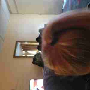 Blow jobs Love eating dick Head