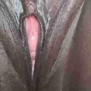 Hi Black horny pussy Pink
