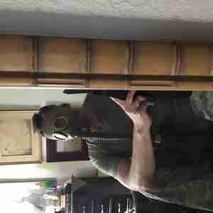 This is me I’m a 59 year old gay male , bottom , that likes to please other men , I’m looking for my first gangbang ,
