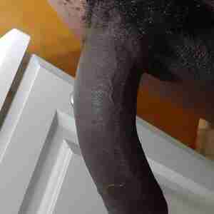 Bbc Nice big dick Bbc