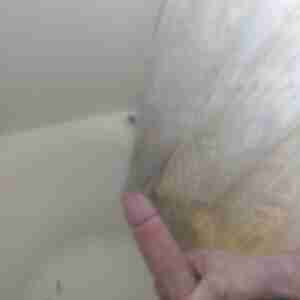 9 in of my tool needs to be used Hot horny girls with dady issues I'm your dady 9 inch cock
