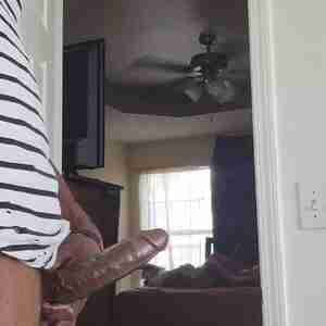 Blackdick Phat and brown BBC