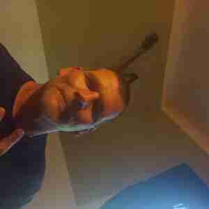My pics Just do it.. Cory