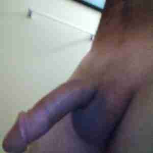 Rooster My cock Hard