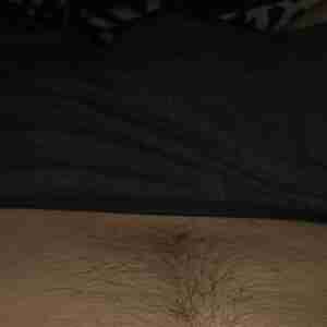 Myself Me Topless skinni