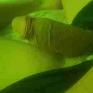 Just me That's pretty much it...just me Dick cock horny nashville sexy kinky fwb