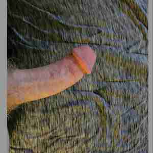 Cock Big Big