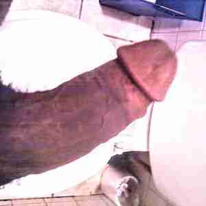 Looking for wemon or couples in ocala fl I'm a straight black man with a bbc looking to share my cock with single wemon or