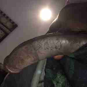Young BBC Looking for some fun in Minnesota BBC Casual