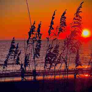 Pics I Take To Waste Time Just random pics I figured I could throw up here Russ Busby Pictures