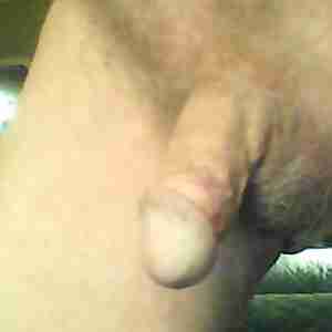 Bi-curious Curious and want to try like small cut cocks