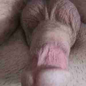 Erection Mushroom head plus 7 inches long Mushroom head