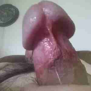Erection Mushroom head plus 7 inches long Mushroom head