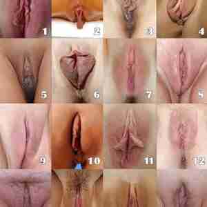 My cock My dick Dick