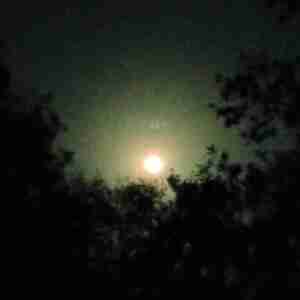 ...this chapter Looking for character of inspiration Inspiration, camping homeless Port Charlotte Punta Gorda swfl