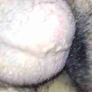 If ykyk I love innie and outie pussy I love puffy fat pussy Me and my tongue ?