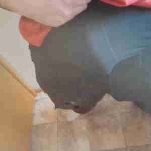 Me Look at this fat cock Hit me up