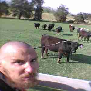 Horny 28-Year Old Messianic Jew I am a 28-year-old [Virgin] Messianic Jew -- from the tribe of Judah -- Pentecostal and