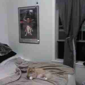 Horny 28-Year Old Messianic Jew I am a 28-year-old [Virgin] Messianic Jew -- from the tribe of Judah -- Pentecostal and