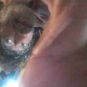 Fetfreak69 Bi-white male,  sexually hyper,  true perv, prefer to submit to a female or couple with Dom female. I'm very