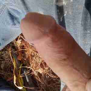 Sexy Cock Nice cock