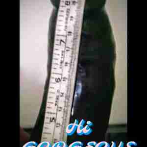My COCK??? ???MY EMAIL ADDRESS IS scottbullrout81@gmail.com OR NUMBER IS 0473252760??? Girl suck
