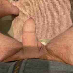 Cock Do you like it Cock