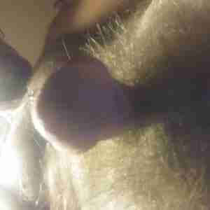 My cock I need pussy help Swx with female