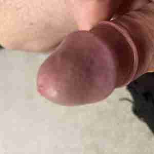 Cock satisfyingly large and very naughty My cock
