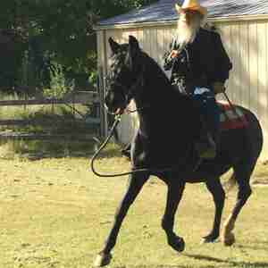 Bones Enjoying life Riding