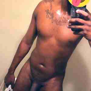Da Don Black Bull Ready For Fun Black BBC