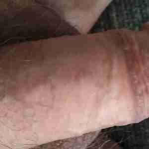 My nude pics Cock, balls and ass Cock, dick penis balls testicles ass asshole sex.