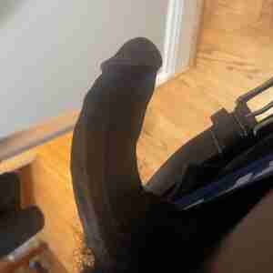 BBC come take a look and see if you like BBC